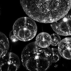 Meet your Posher, Sadie